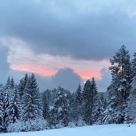 Schwarzwald Wohnung Kniebis Фройденщат Екстериор снимка