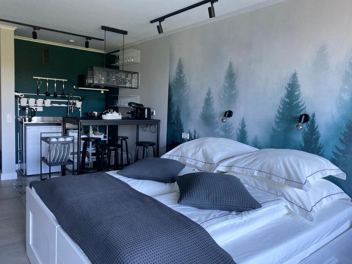 Schwarzwald Wohnung Kniebis Фройденщат Екстериор снимка