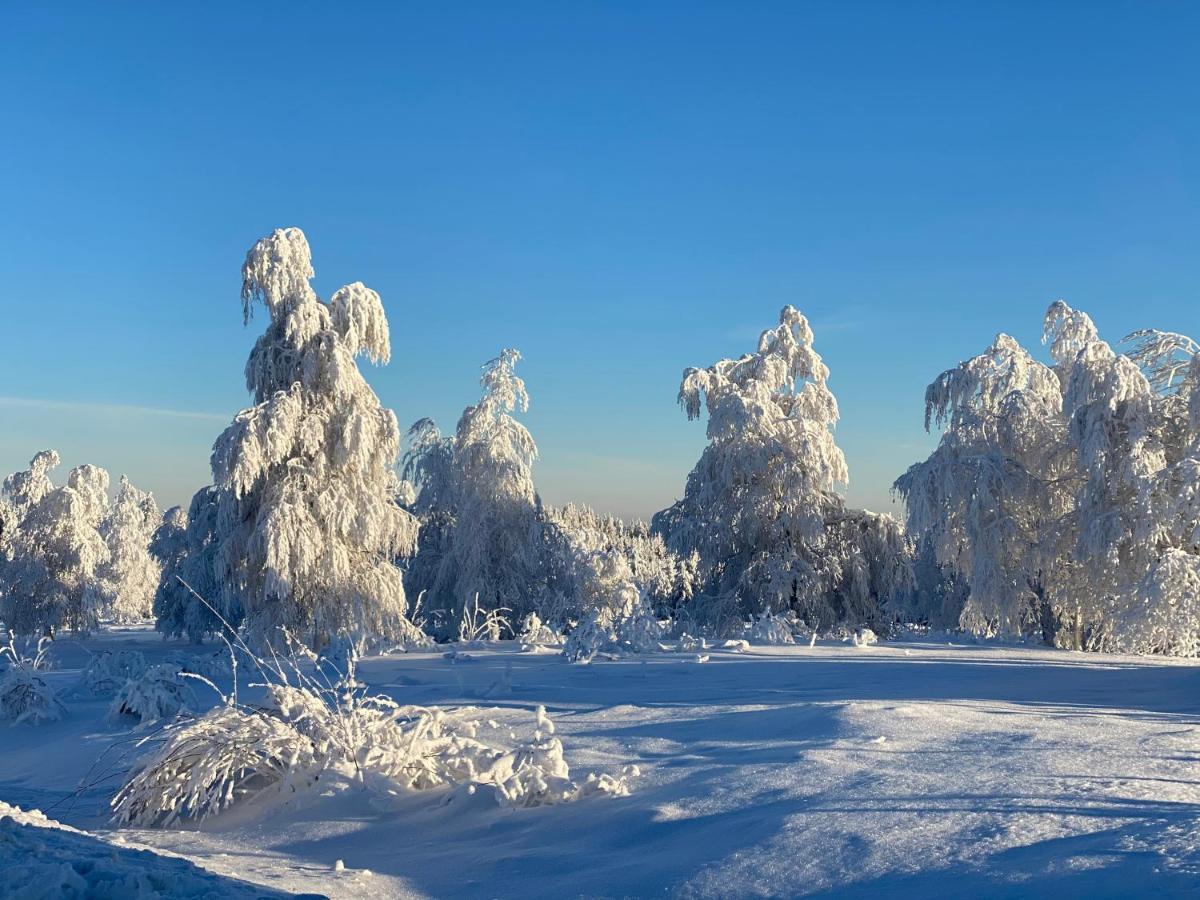 Schwarzwald Wohnung Kniebis Фройденщат Екстериор снимка
