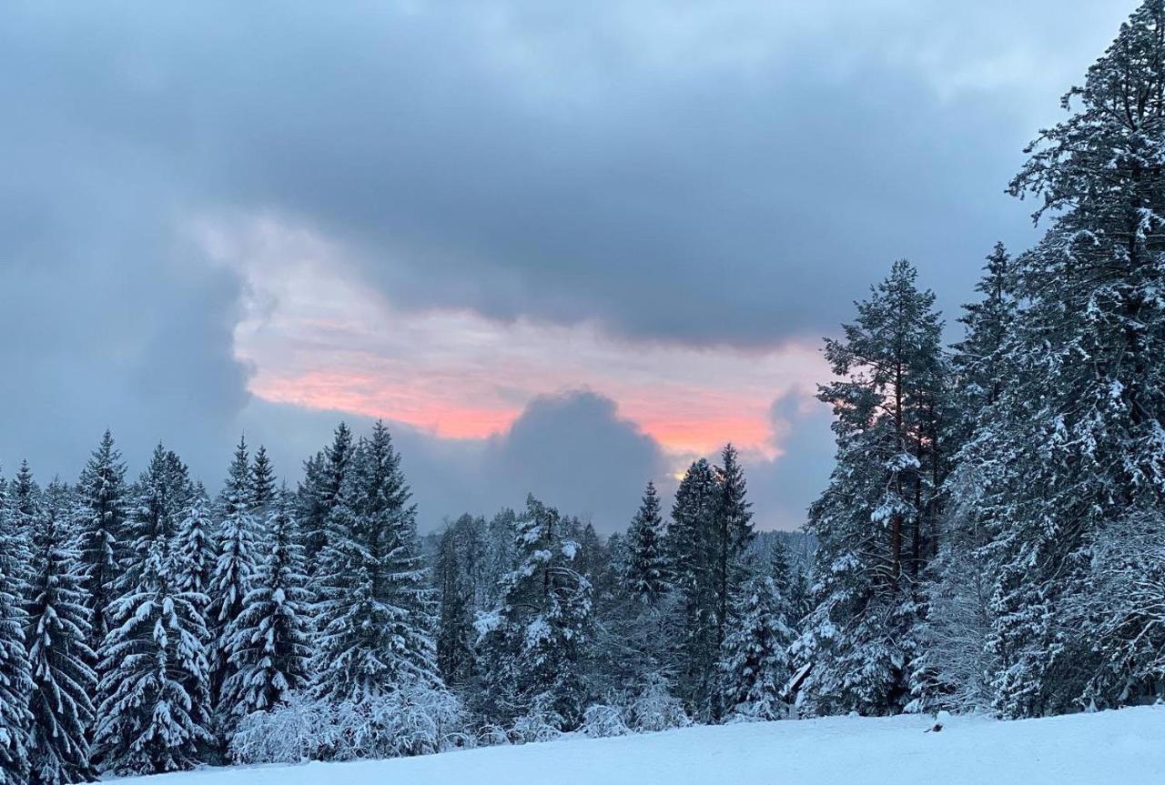 Schwarzwald Wohnung Kniebis Фройденщат Екстериор снимка