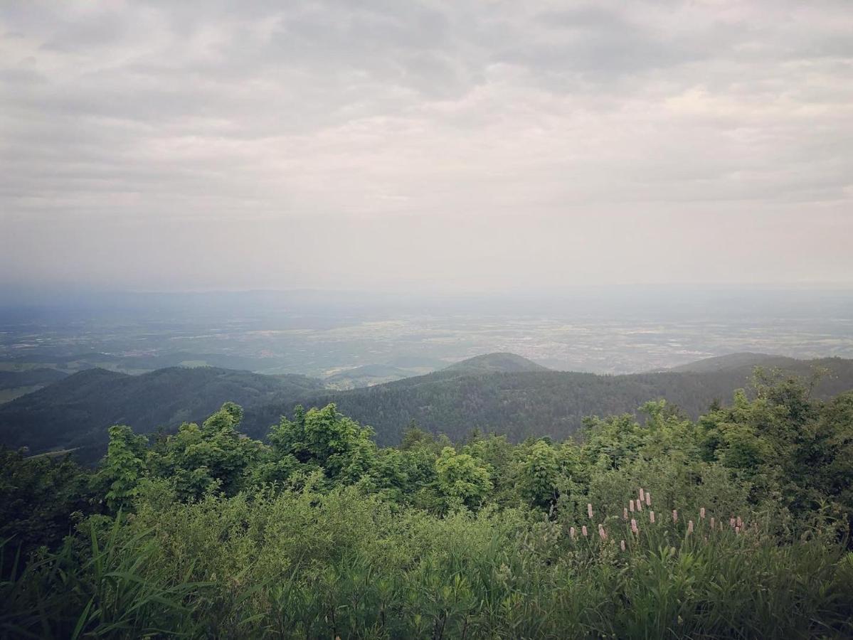 Schwarzwald Wohnung Kniebis Фройденщат Екстериор снимка