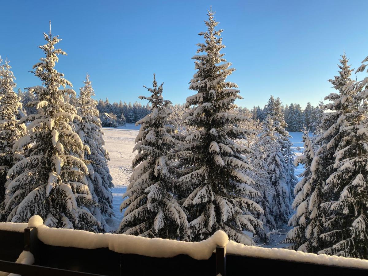 Schwarzwald Wohnung Kniebis Фройденщат Екстериор снимка