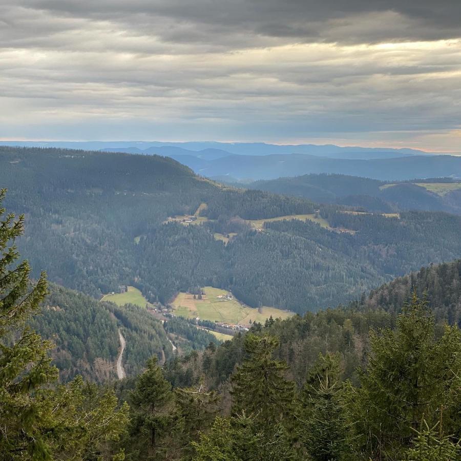 Schwarzwald Wohnung Kniebis Фройденщат Екстериор снимка